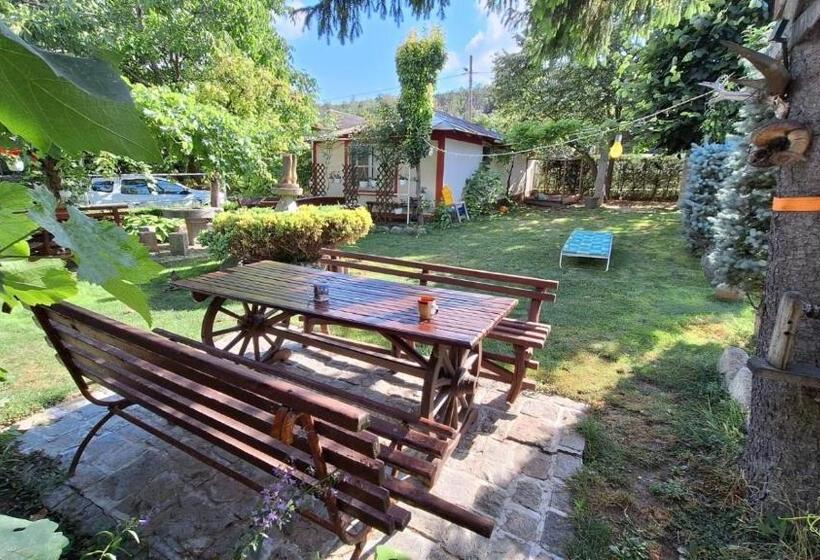 Hotel Casa Matetovici