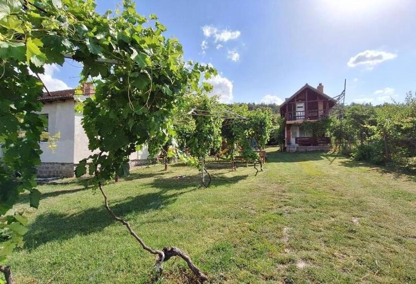 Hotel Casa Matetovici