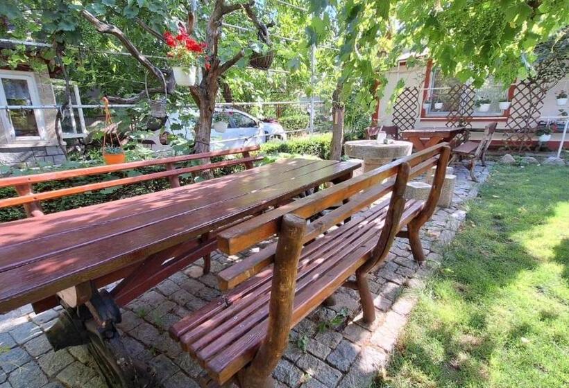 Hotel Casa Matetovici