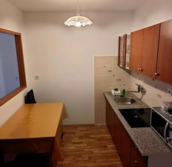 پانسیون Apartmaji Pri Kokolu