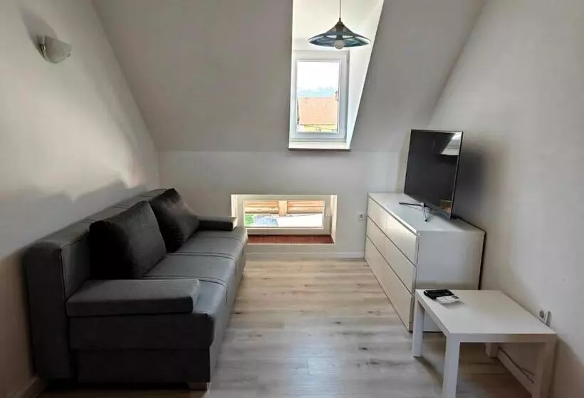 پانسیون Apartmaji Pri Kokolu