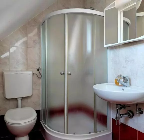 پانسیون Apartmaji Pri Kokolu