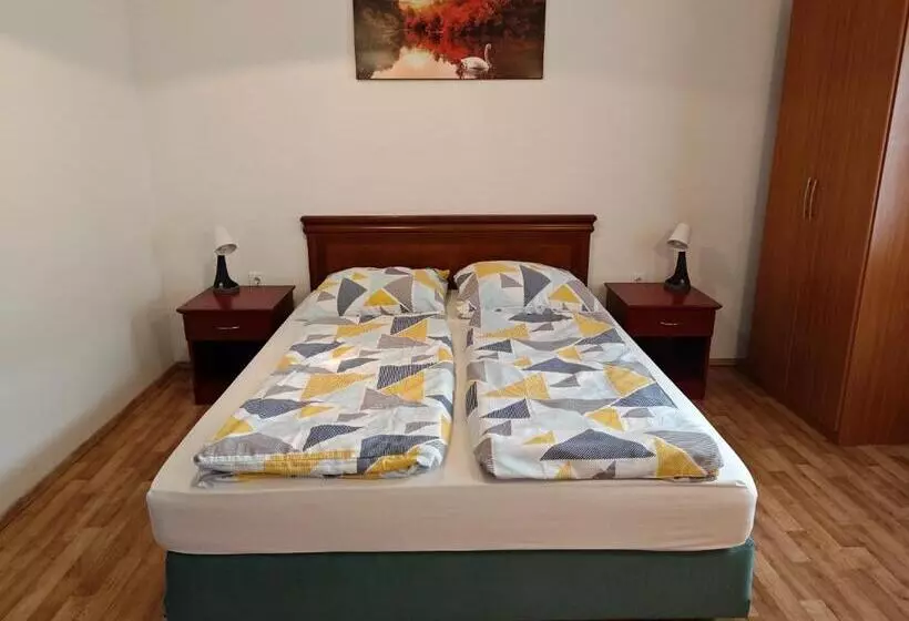 پانسیون Apartmaji Pri Kokolu