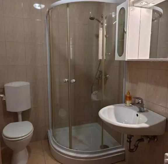 پانسیون Apartmaji Pri Kokolu