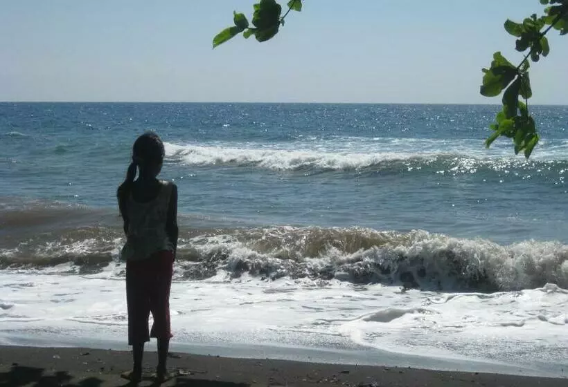 پانسیون Bali Sandat