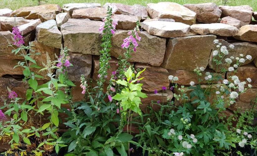 פנסיון Ferienwohnung Unterhubers