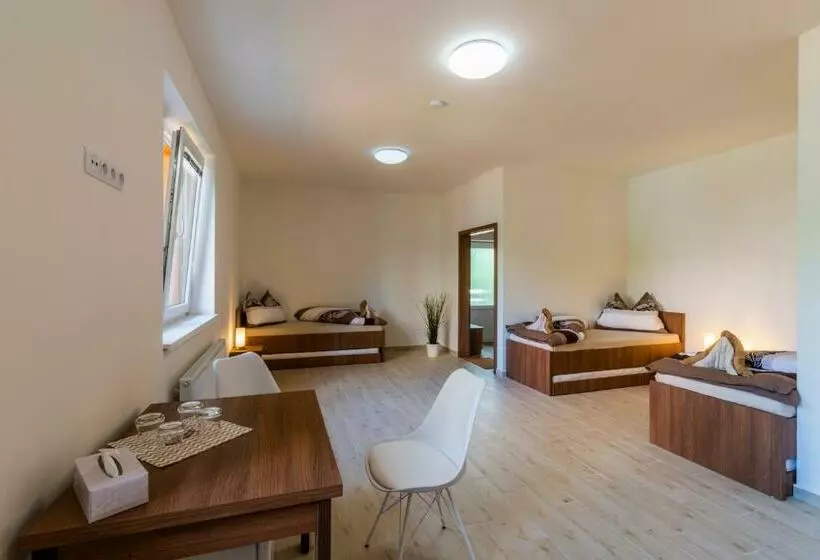 ペンション Penzion Piranha