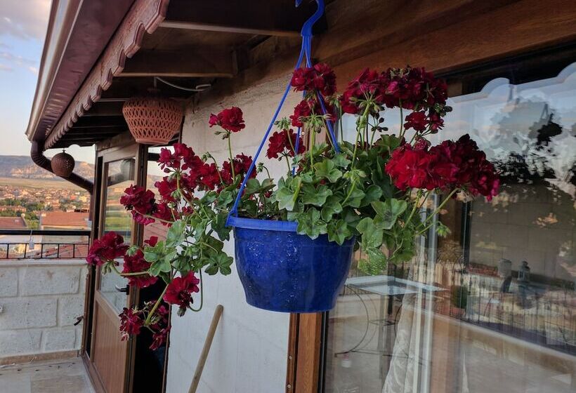 پانسیون Sendian Guesthouse