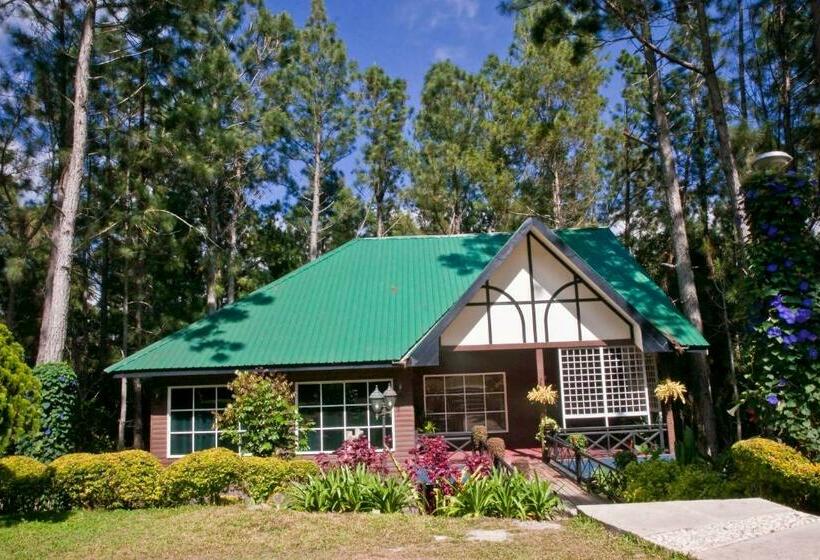 Kurort  Perkasa  Mt Kinabalu