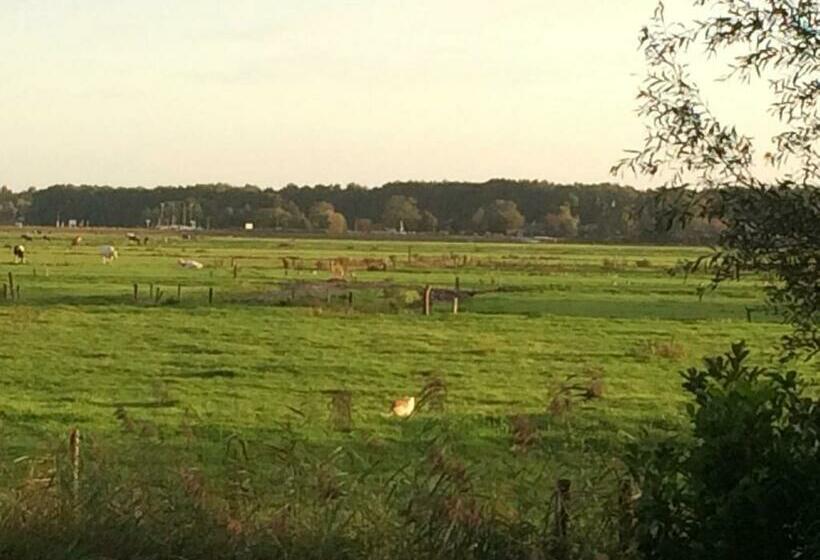 تختخواب و صبحانه Haarlem 49