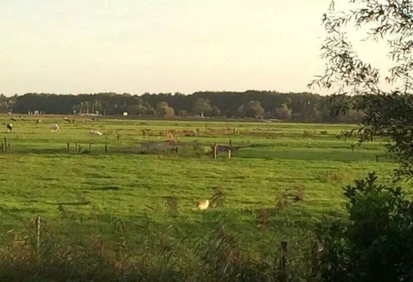 Aamiaismajoitus (B&B) Haarlem 49