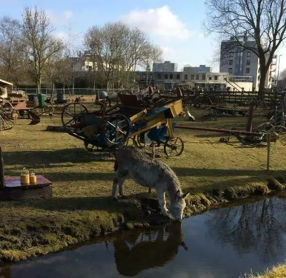 Aamiaismajoitus (B&B) Haarlem 49