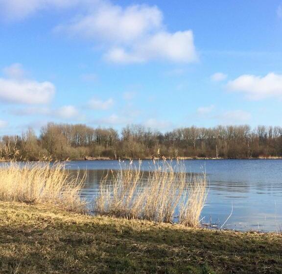 تختخواب و صبحانه Haarlem 49