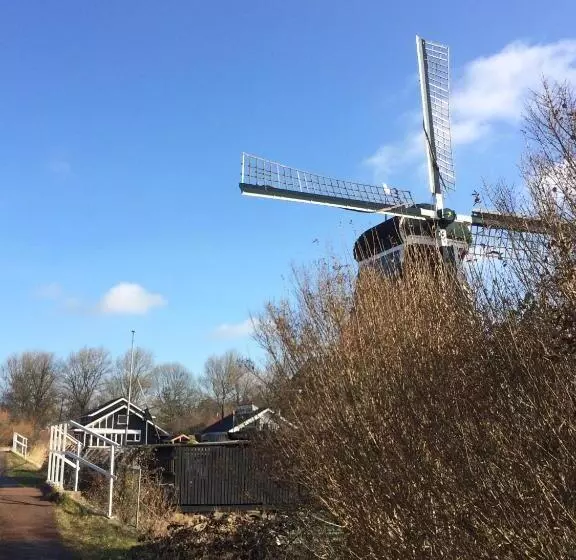 Aamiaismajoitus (B&B) Haarlem 49