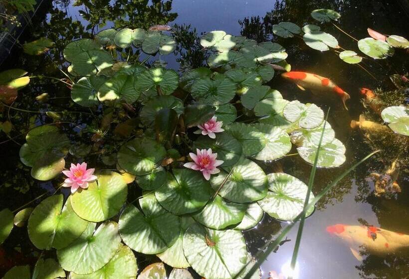 مبيت وإفطار Les Rêves D Angèle