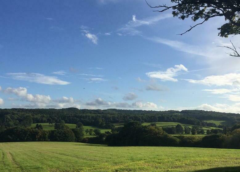Court Barn Cottage B&b