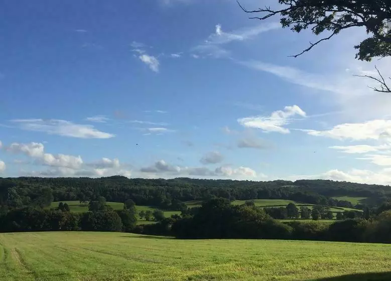 Court Barn Cottage B&b