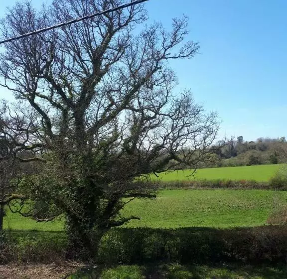 Court Barn Cottage B&b