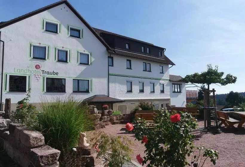 Landhotel Traube