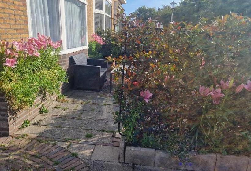 بنسيون Guesthouse Zandvoort