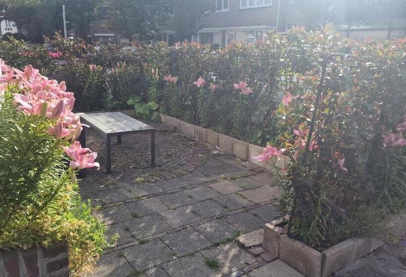 بنسيون Guesthouse Zandvoort