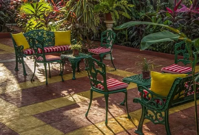 בית מלון כפרי Casa Anjuna