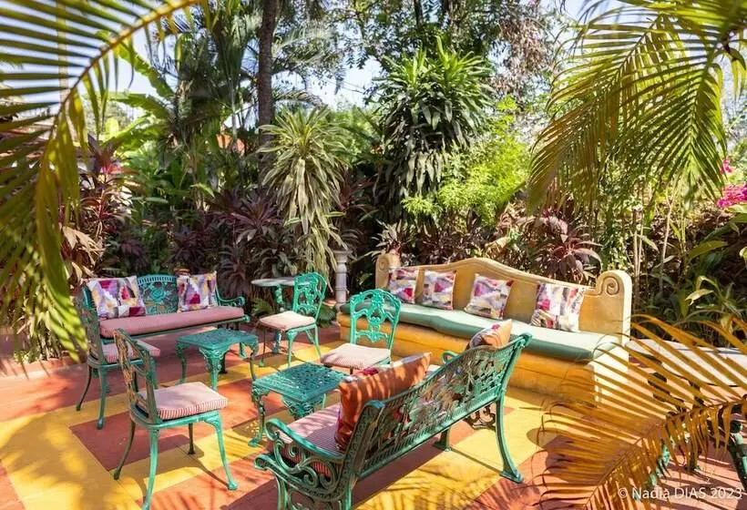 בית מלון כפרי Casa Anjuna