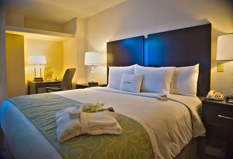 호텔 Doubletree By Hilton Panama City