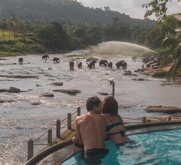 Отель Elephant Bay