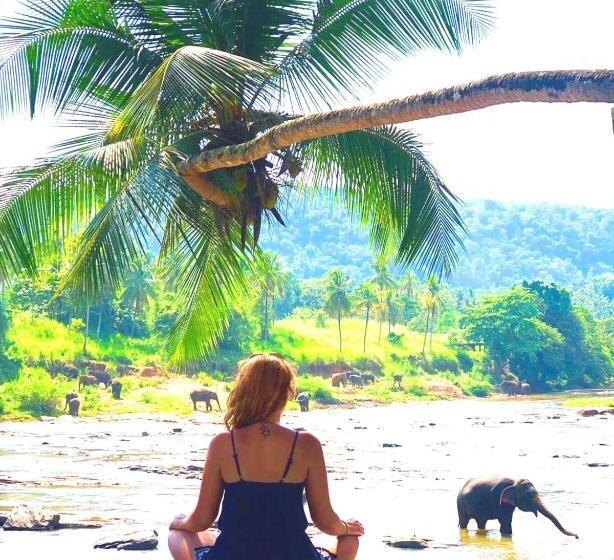 Отель Elephant Bay