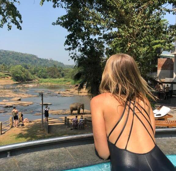 Отель Elephant Bay