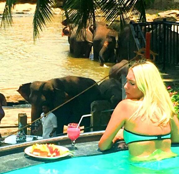 Отель Elephant Bay