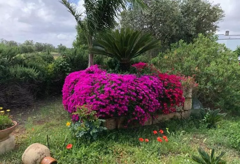 Aamiaismajoitus (B&B) Curti Russi