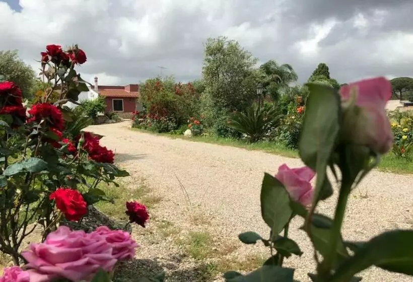 Aamiaismajoitus (B&B) Curti Russi