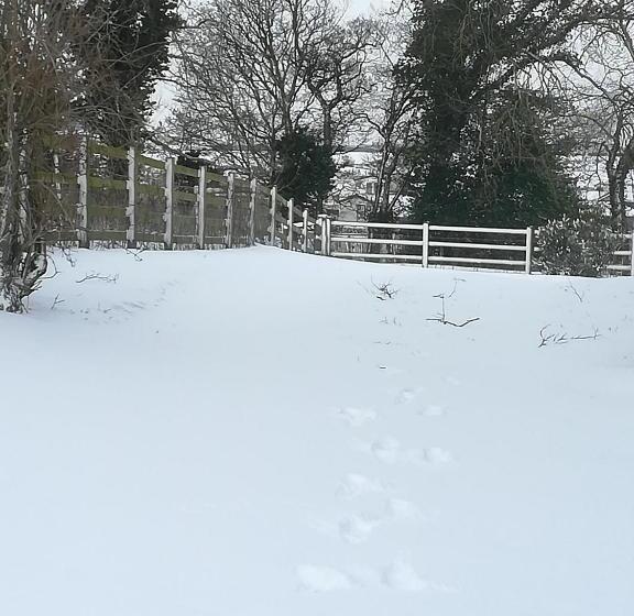 민박 Lucker Mill House