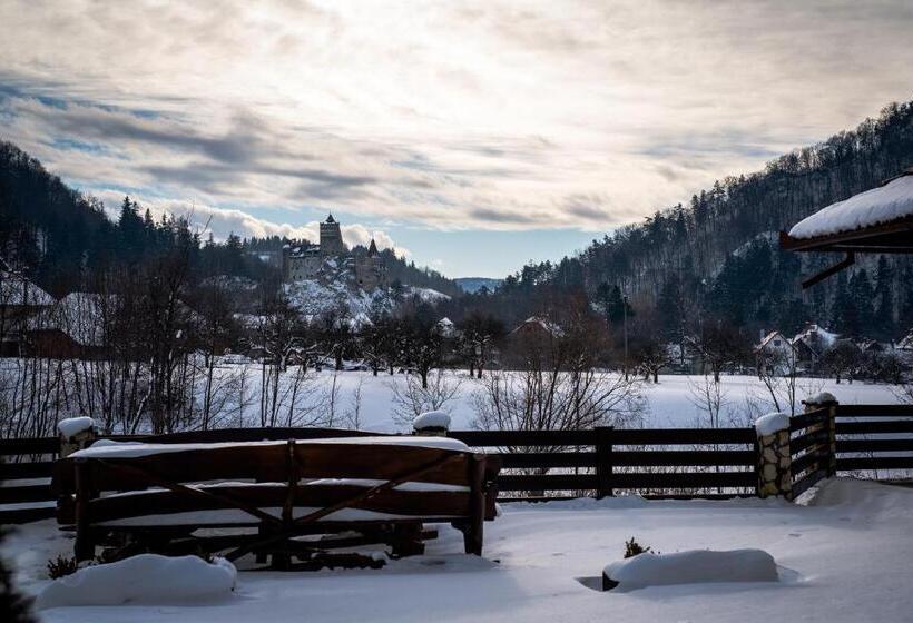 Отель Bran Chalet