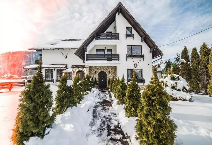 هتل Bran Chalet