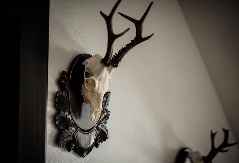 Отель Bran Chalet