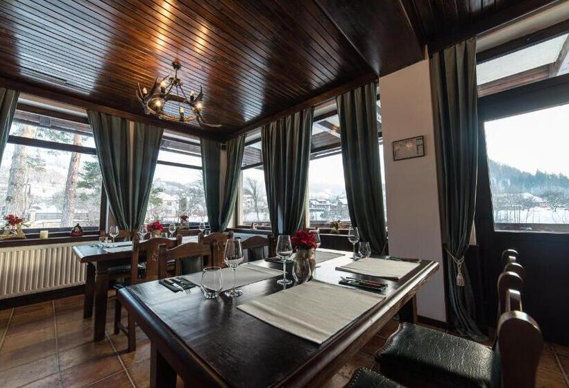 Отель Bran Chalet