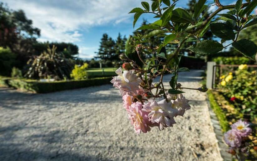 Mount Thomas Road B&b