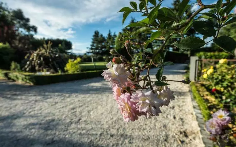 Mount Thomas Road B&b