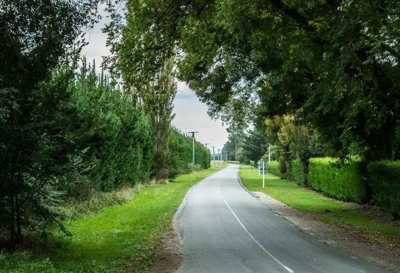 Mount Thomas Road B&b
