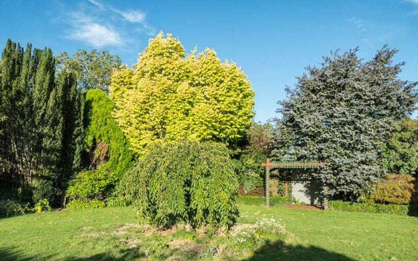 Mount Thomas Road B&b