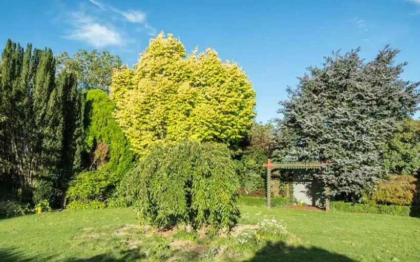 Mount Thomas Road B&b