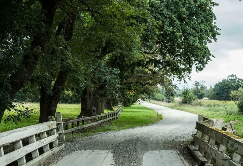 Mount Thomas Road B&b