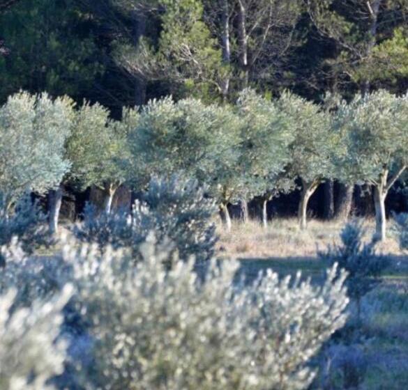 ペンション Cabanon Sainte Victoire