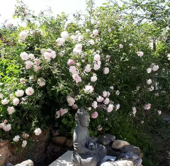 Aamiaismajoitus (B&B) La Médéenne