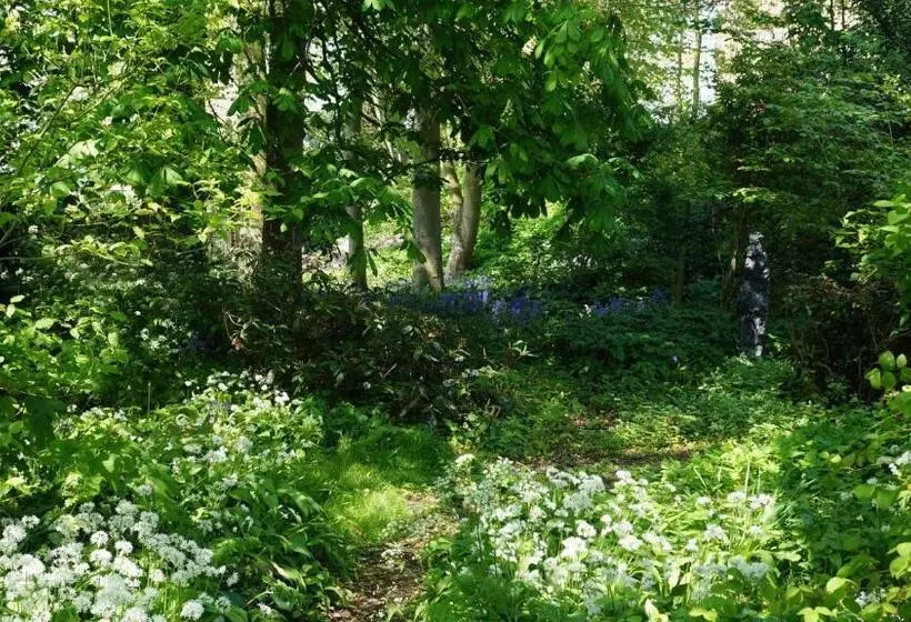 Aamiaismajoitus (B&B) Pastorie De Waal