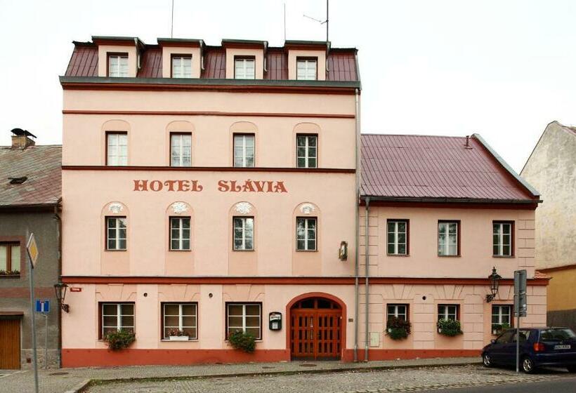 酒店 Slávie