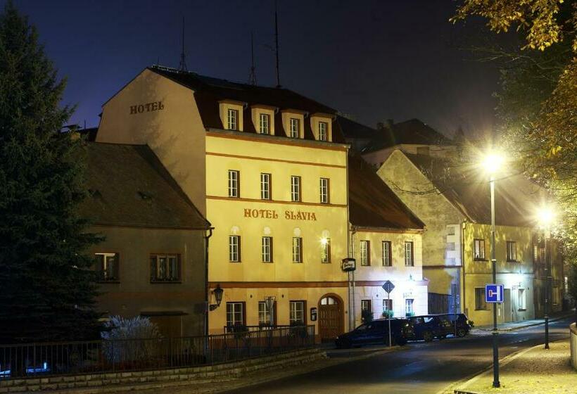 酒店 Slávie